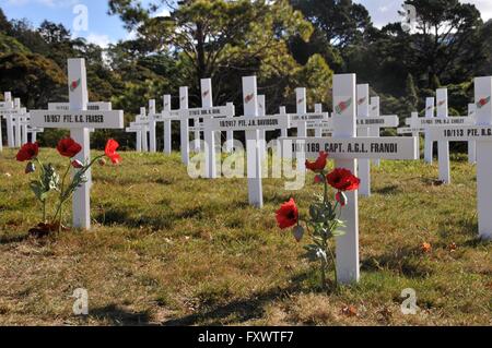 Wellington. 19. April 2016. Foto aufgenommen am 19. April 2016 zeigt weiße Kreuze mit Namen der gefallenen im ersten Weltkrieg am Botanischen Garten von Wellington, Neuseeland Soldaten. 1831 weiße Kreuze die Soldaten von Wellington Region gestorben 1915 und 1916 im ersten Weltkrieg wurden im Botanischen Garten von Wellington errichtet. Das Projekt ist Teil des New Zealand zum Gedenken an den Weltkrieg I. Kredit: Su Liang/Xinhua/Alamy Live News Stockfoto