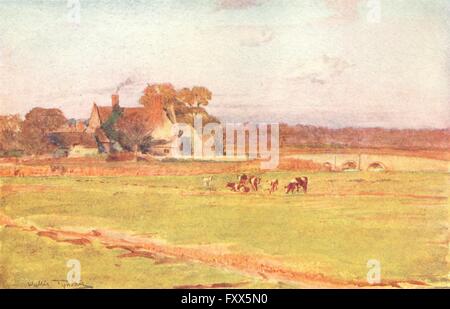 WELLBRIDGE: Wolle Manor Tess D'Urbervilles, Klara, antique print 1906 Stockfoto