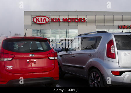 Kia Motors Autohaus in Kingston, Ontario, auf Montag, 11. Januar 2016. Stockfoto