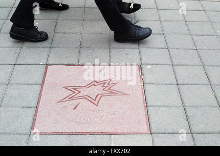 Kanadischen Walk of Fame, Bürgersteig Sterne in Form einer stilisierten Ahornblatt Errungenschaften der Blue Rodeo anerkennen Stockfoto