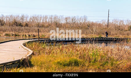 Fotograf sucht Vögel zu fotografieren, während auf der Promenade in Cameron Prairie National Wildlife Refuge in der Nähe von Lake Charles, Louisiana Stockfoto