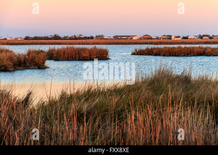 Sonnenuntergang wärmt die Farben des Grases im unteren Terrebonne Parish Feuchtgebiete des südlichen Louisiana Küste. Stockfoto