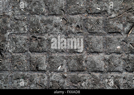 Granit-Block Pflaster der alten Straße Stockfoto
