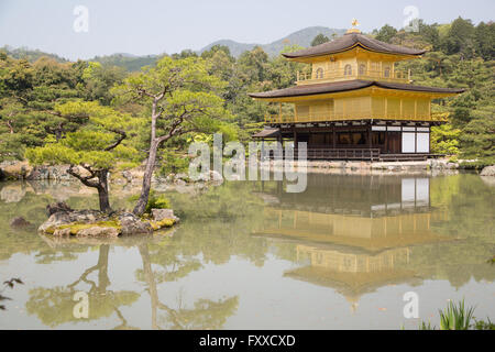 Die Reflexion der Kinkaku-Ji, bekannt als der goldene Pavillon, umgeben von Gärten in Kyoto, Japan. Stockfoto