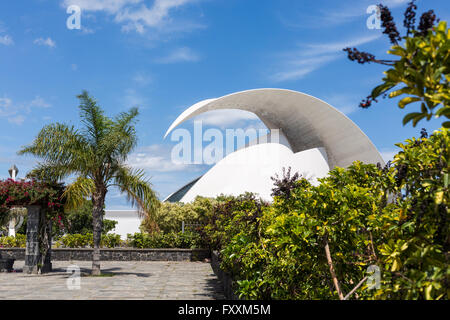 Das Auditorio Adan Martin Auditorium gebaut vom Architekten Santiago Calatrava in Santa Cruz, Teneriffa, Kanarische Inseln, Spanien. Stockfoto