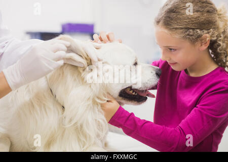 Mädchen hält ihren Hund beim Tierarzt untersuchen sein Ohr Stockfoto