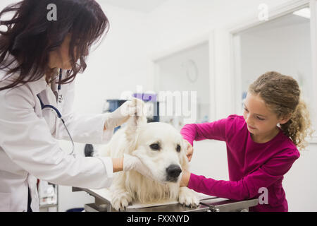Mädchen hält ihren Hund beim Tierarzt untersuchen sein Ohr Stockfoto