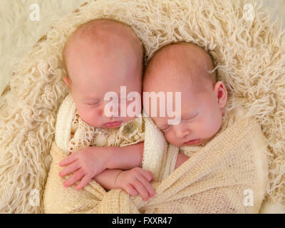 Entzückende Neugeborene eineiigen Zwilling Baby Mädchen schlafen in einem weichen Korb Stockfoto