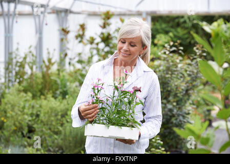 Reife Frau, die Auswahl von Pflanzen im Garten-Center Stockfoto