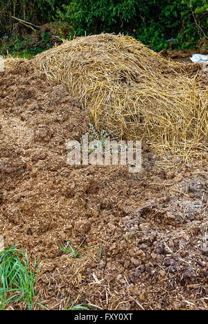 Haufen Gülle neben Schrebergarten, wo das Land für den Anbau von Obst und Gemüse zur Verfügung gestellt wird. Stockfoto