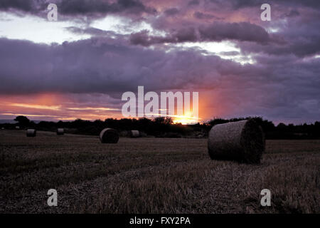 Heuballen im Feld bei Sonnenuntergang Chester Stockfoto