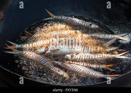 Fische braten in Öl in Mali, Afrika. Stockfoto