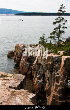 Bundesstaat Maine, Schoodic Peninsula, Acadia National Park, Blick auf Klippen von Ravens geologische Nistplatz Stockfoto