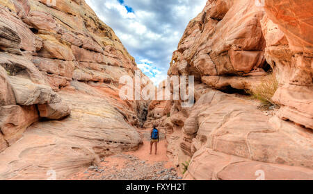 Wanderer zu Fuß durch einen Canyon, orange roten Sandsteinfelsen, Trail, Valley of Fire State Park, Nevada, USA Stockfoto