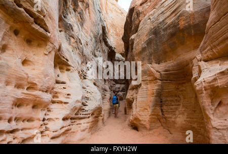 Wanderer zu Fuß durch einen Canyon, orange roten Sandsteinfelsen, Trail, Valley of Fire State Park, Nevada, USA Stockfoto