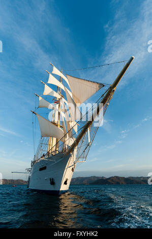 Star Flyer Segeln Kreuzfahrtschiff, Costa Rica Stockfoto