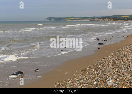 Cap Blanc Nez und Cap Gris-Nez auf die Opalküste im Département Pas-de-Calais in Nordfrankreich. Stockfoto