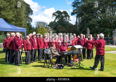 Truro Männerchor bei einer Outdoor-Veranstaltung in Cornwall, Großbritannien Stockfoto