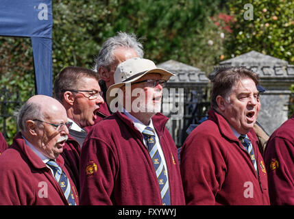 Die Truro Männerchor bei einer Outdoor-Veranstaltung in Cornwall, Großbritannien Stockfoto