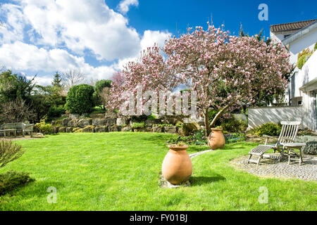 Schönen Frühlingsgarten mit blühenden Magnolie. Sonnigen Tag Stockfoto