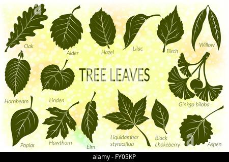 Blätter der Pflanzen-Piktogramm-Set Stock Vektor