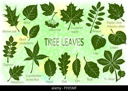 Blätter der Pflanzen-Piktogramm-Set Stock Vektor