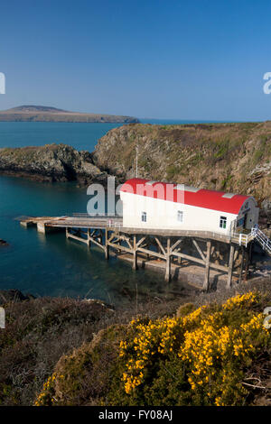 Porth Stinian St Justinian's alte Rettungsstation Ramsey Sound im Frühjahr in der Nähe von St. David's Pembrokeshire Wales UK Stockfoto