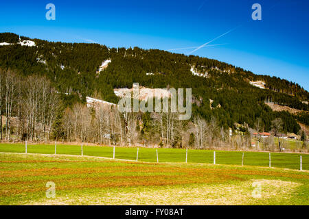 Idyllische Landschaft in den Alpen mit frischen grünen Wiesen Stockfoto