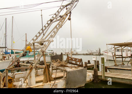 Boote in kommerzielle Garnelen und Fischereiindustrie verwendet am Yachthafen verankert. Stockfoto