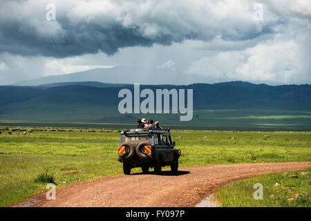 Touristen auf Safari auf der Suche nach Raubtiere im Schutzgebiet Ngorongoro Krater. Stockfoto