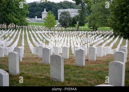 Ansicht von Grabsteinen aus der Spitze eines Hügels, Nationalfriedhof Arlington, Virginia, USA Stockfoto