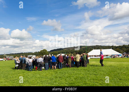 Besucher der Lancashire Spiel und Country Festival 2015 sammeln im Zentrum von Show-Ring eine Schafe scheren Demo ansehen Stockfoto