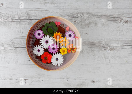 Bunte Blumen schweben in große Keramikschale, gefüllt mit Wasser auf weißem rustikalen Holztisch. Draufsicht mit Textfreiraum. Stockfoto
