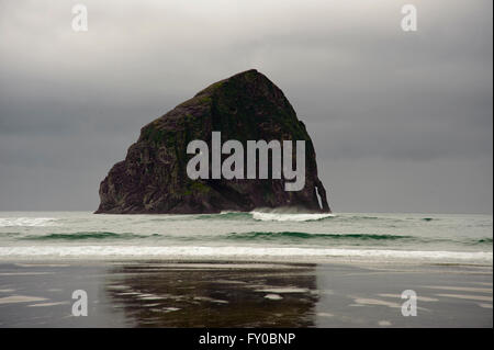 Haystack Rock Canon Beach OR bei Flut an regnerischen, windigen Tag. Vögel sind eingelebt und Spray auf Wellen zeigen Stärke des Windes Stockfoto