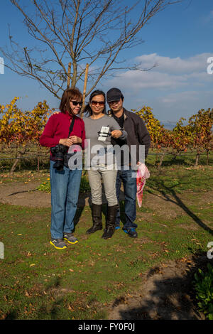 Touristen im Weinberg am Whirlpool Family Vineyards südlich von der Stadt von Sonoma in Sonoma Valley in Sonoma County, California Stockfoto