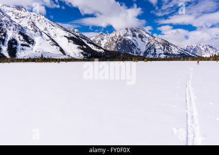 Backcountry Skifahrer unter Mount Moran, Grand-Teton-Nationalpark, Wyoming, USA Stockfoto