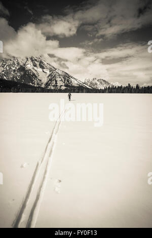 Backcountry Skifahrer unter Mount Moran, Grand-Teton-Nationalpark, Wyoming, USA Stockfoto