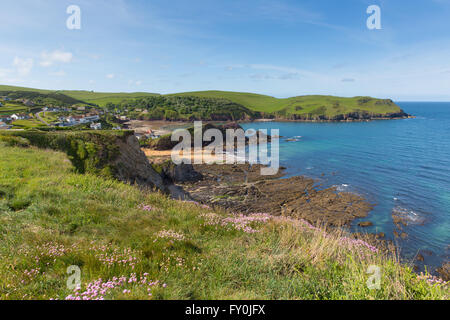 UK-Südküste Hope Cove Devon in der Nähe von Salcombe im Sommer Stockfoto