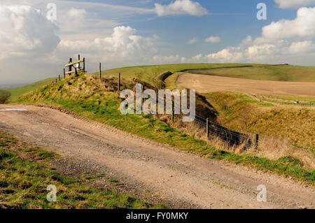 Die Wansdyke alten Erdarbeiten auf den Wiltshire Downs, Blick in Richtung Tan Hill. Stockfoto