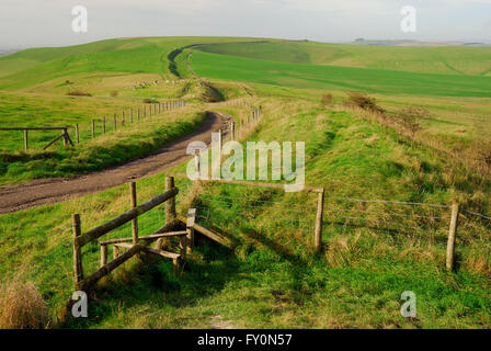 Die Wansdyke alten Erdarbeiten auf den Wiltshire Downs, Blick in Richtung Tan Hill. Stockfoto