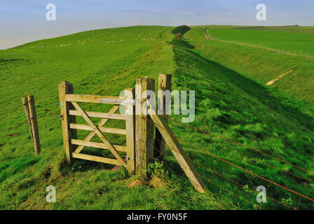 Die Wansdyke alten Erdarbeiten auf den Wiltshire Downs, Blick in Richtung Tan Hill. Stockfoto