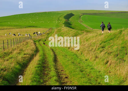 Die Wansdyke alten Erdarbeiten auf den Wiltshire Downs, Blick in Richtung Tan Hill. Stockfoto