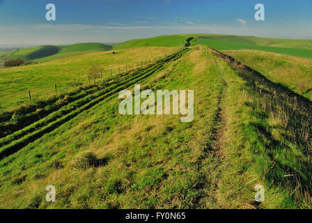 Die Wansdyke alten Erdarbeiten auf den Wiltshire Downs, Blick in Richtung Tan Hill. Stockfoto