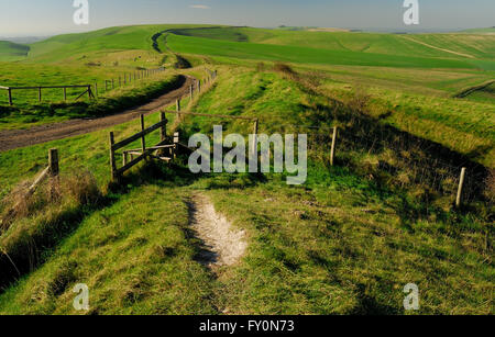 Die Wansdyke alten Erdarbeiten auf den Wiltshire Downs, Blick in Richtung Tan Hill. Stockfoto