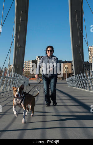 Ausführen von Pit Bull Typ Hund, Mischling, mit Besitzerin im Hintergrund, George C King Bridge, Calgary, Alberta, Canada Stockfoto