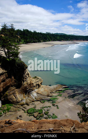 Oregon Coast mit Moos bedeckt Felsen in der Vordergrund-Bucht um zu Bucht mit Wellen gespült.  Getauchten Protokolle in foregrd Stockfoto