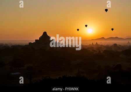 Sonnenaufgang über Dhammayangyi Tempel und Heißluft Ballons, Old Bagan mit blauen und orangefarbenen Himmel und Tempel Silhouetten, Myanmar Stockfoto