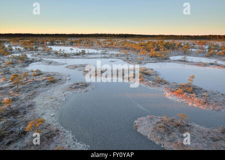 Gefrorenen Moor Pools im Sonnenaufgang Stockfoto