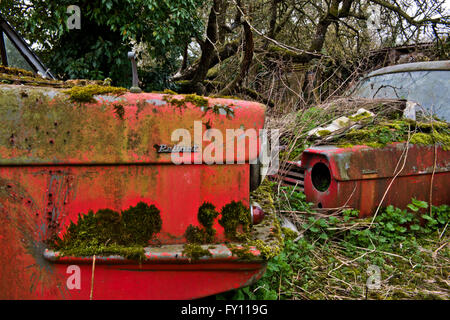 Die Reste eines Robin Reliant, Vintage, die vans langsam verrotten in einem kleinen Bauernhof, die seit 30 Jahren unberührt. Stockfoto