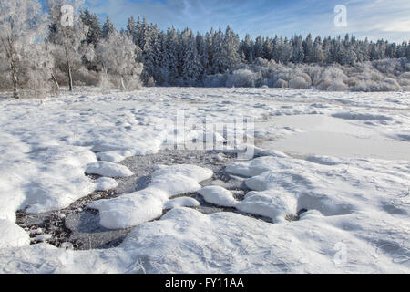 Heidelandschaft mit gefrorenen Pingo im Winter an der Hoge Venena / hohe Venn / Hautes Fagnes, belgische Nature reserve in Lüttich, Belgien Stockfoto